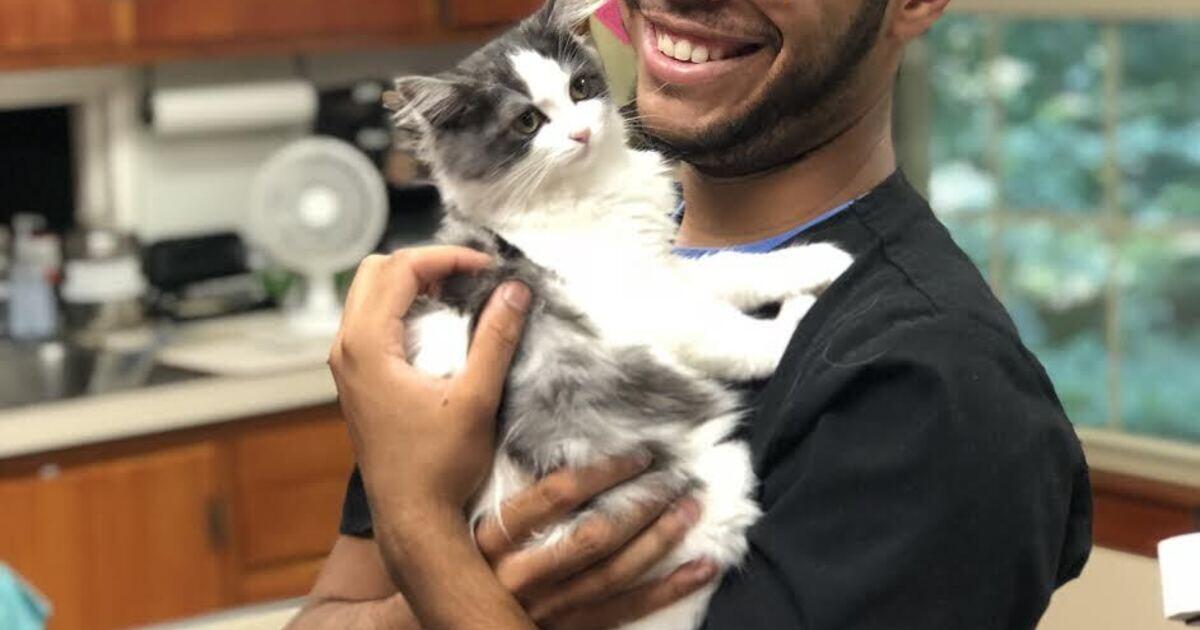 Dog & Cat Veterinarian in Rustburg, VA Rustburg Veterinary Clinic